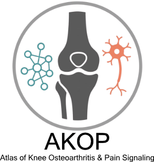 AKOP: Atlas of Knee Osteoarthritis and Pain Signaling
