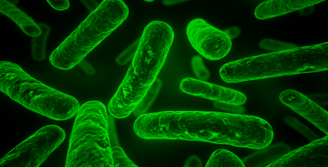 Systems Biology of Clostridium acetobutylicum (COSMIC)