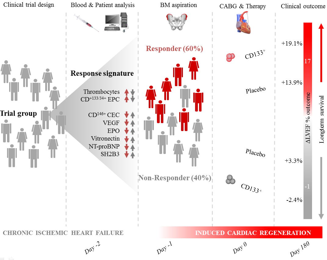 PERFECT: Analysis of phase III clinical trial data, including MRI image classification using artificial intelligence