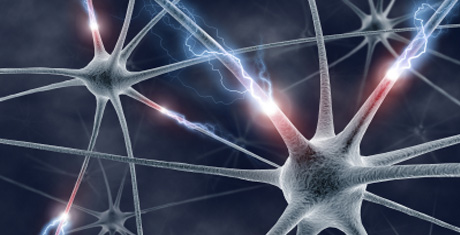 Mathematical modeling of Neurodegenerative Processes in Alzheimer's Disease (MSBN)