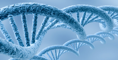 System Biology approaches to radiation biodosimetry and the analysis of individual radiosensitivity