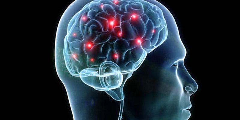 GB-XMap: Assessing the risk of gut-brain cross-diseases