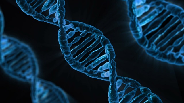Complex DNA lesions and their impact on cellular radiation response - Collar